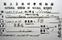 扭軸彈頭螺藏品圖，第12張