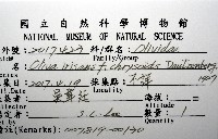 登錄號:007819-00130藏品圖，第12張