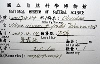 登錄號:007819-00131藏品圖，第12張