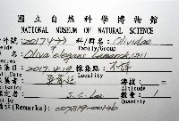 登錄號:007819-00136藏品圖，第16張