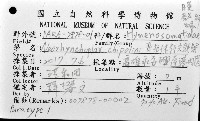齊柏林新尖額蟹藏品圖，第4張