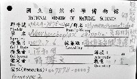 齊柏林新尖額蟹藏品圖，第4張
