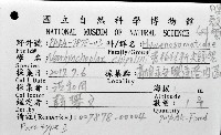 齊柏林新尖額蟹藏品圖，第4張