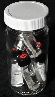 齊柏林新尖額蟹藏品圖，第3張