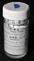 齊柏林新尖額蟹藏品圖，第3張