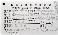齊柏林新尖額蟹藏品圖，第4張