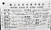 韓氏(粗糙)橙蝦蛄藏品圖，第20張
