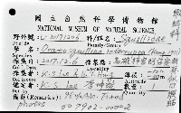 斷脊似口蝦蛄藏品圖，第16張