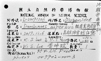 粗盾真寄居蟹藏品圖，第16張
