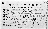 突腕長眼寄居蟹藏品圖，第12張