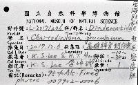 粒毛冠海膽藏品圖，第8張