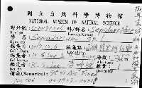 未知種後耳烏賊 1藏品圖，第12張