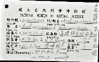 黑線車輪螺藏品圖，第8張
