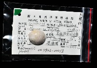 大玉螺藏品圖，第7張