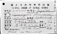 深水旋刺寄居蟹藏品圖，第12張