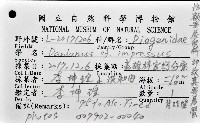 印紋真寄居蟹藏品圖，第8張