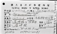 未知種鞘群海葵藏品圖，第12張