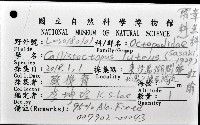 紅蛸(紅章)藏品圖，第8張