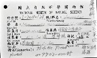 櫻桃寶石簾蛤藏品圖，第16張