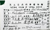 紅扇珊瑚藏品圖，第12張