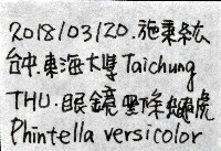 多色金毛蛛藏品圖，第11張