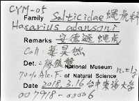 安德遜蠅虎藏品圖，第12張