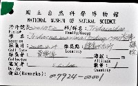 長硨磲蛤藏品圖，第8張