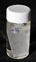 紫螺藏品圖，第5張