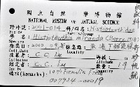 奇妙帆魷藏品圖，第12張