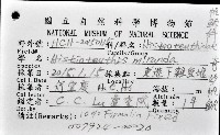 奇妙帆魷藏品圖，第12張