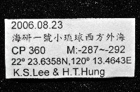 未知種端足類藏品圖，第11張