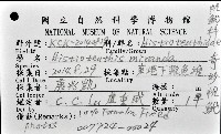 奇妙帆魷藏品圖，第8張