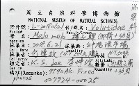 椰子螺藏品圖，第16張