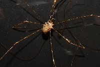 登錄號:007926-00001藏品圖，第2張