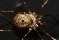 登錄號:007926-00002藏品圖，第3張