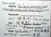 登錄號:007926-00002藏品圖，第11張