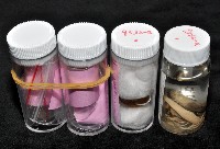 鱗高腰蝸牛(鱗菱蝸牛)藏品圖，第8張