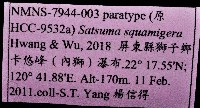鱗高腰蝸牛(鱗菱蝸牛)藏品圖，第15張