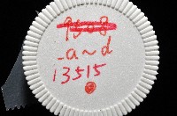鱗高腰蝸牛(鱗菱蝸牛)藏品圖，第11張