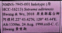 阿禮高腰蝸牛藏品圖，第11張