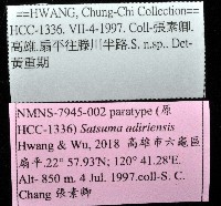 阿禮高腰蝸牛藏品圖，第11張