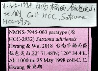 阿禮高腰蝸牛藏品圖，第11張