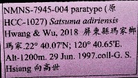 阿禮高腰蝸牛藏品圖，第11張