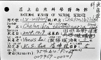 龜藤壺藏品圖，第19張