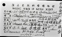 龜藤壺藏品圖，第16張