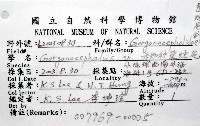 未知種筐蛇尾藏品圖，第12張