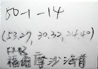 平端深海殼菜蛤藏品圖，第6張