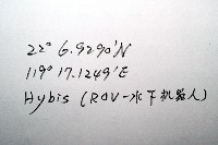 平端深海殼菜蛤藏品圖，第7張