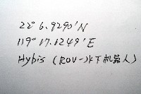 平端深海殼菜蛤藏品圖，第6張