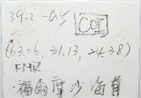 平端深海殼菜蛤藏品圖，第7張
